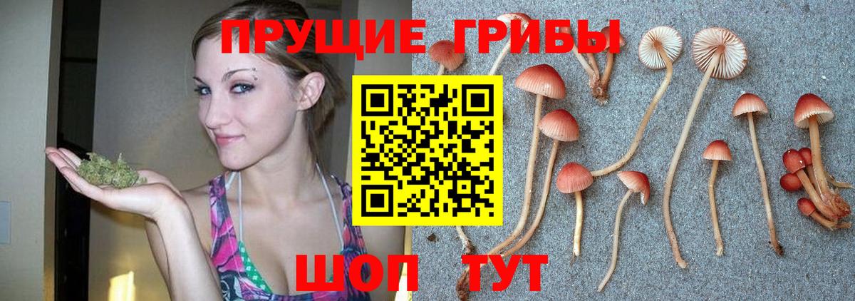 Галлюциногенные грибы Magic Shrooms  Вход с VPN  Галлюциногенные грибы прущие грибы  Кирово-Чепецк 